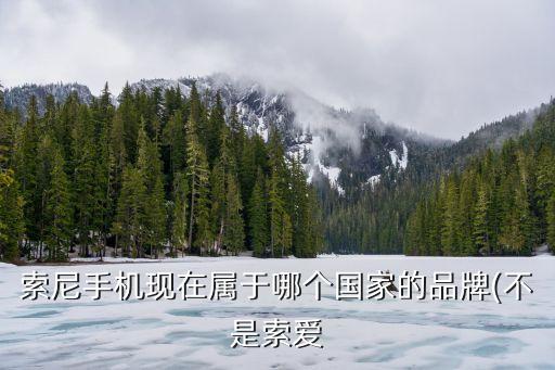 索尼手機(jī)現(xiàn)在屬于哪個(gè)國(guó)家的品牌(不是索愛