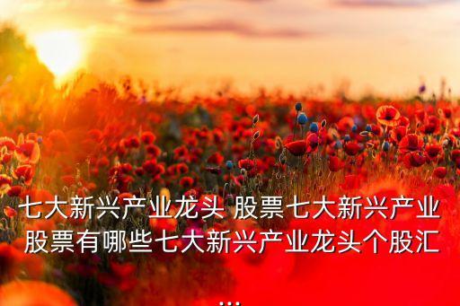 七大新興產(chǎn)業(yè)龍頭 股票七大新興產(chǎn)業(yè) 股票有哪些七大新興產(chǎn)業(yè)龍頭個(gè)股匯...