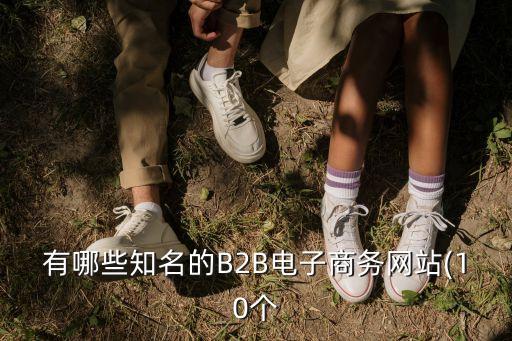 b2b上市公司,國(guó)內(nèi)首家B2B上市公司是誰