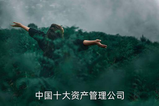 中國(guó)十大資產(chǎn)管理公司