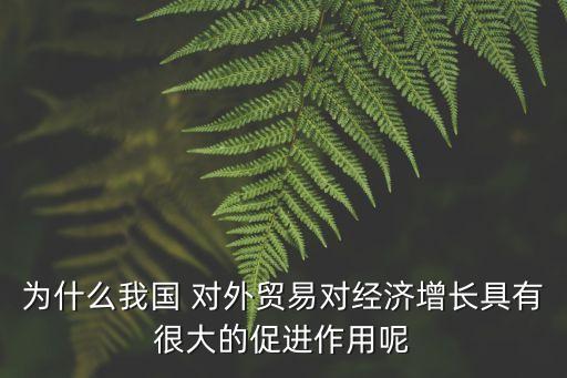 為什么我國 對外貿(mào)易對經(jīng)濟(jì)增長具有很大的促進(jìn)作用呢