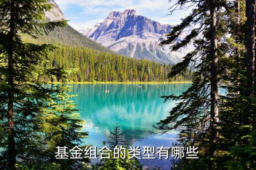 基金組合的類(lèi)型有哪些
