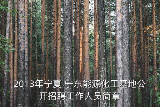 2013年寧夏 寧東能源化工基地公開(kāi)招聘工作人員簡(jiǎn)章