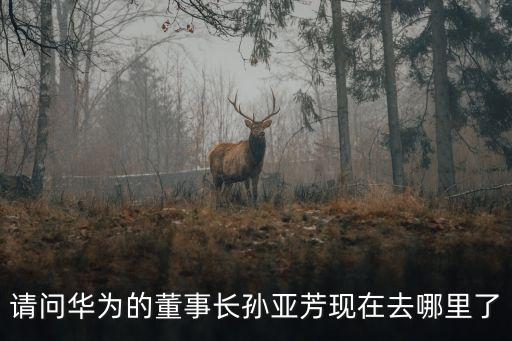 請(qǐng)問華為的董事長孫亞芳現(xiàn)在去哪里了