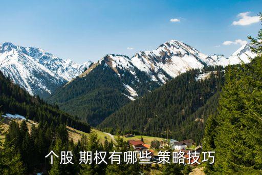 個股 期權有哪些 策略技巧