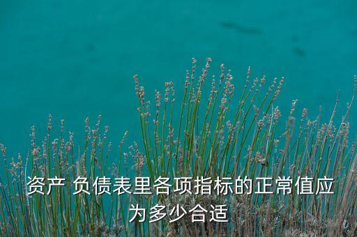  資產(chǎn) 負債表里各項指標(biāo)的正常值應(yīng)為多少合適