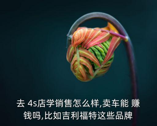 投資奧迪4s店賺錢(qián)嗎,開(kāi)一家?jiàn)W迪4s店需要投資多少錢(qián)