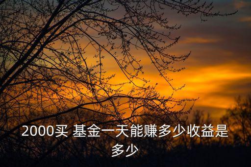 2000買(mǎi) 基金一天能賺多少收益是多少