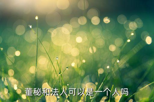董秘和法人可以是一個人嗎