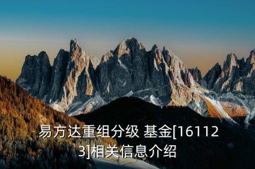 易方達指數(shù)基金網(wǎng)