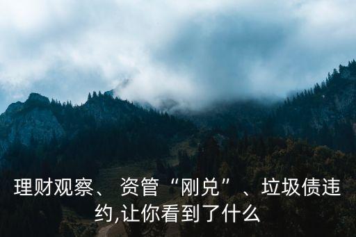 理財(cái)觀察、 資管“剛兌”、垃圾債違約,讓你看到了什么