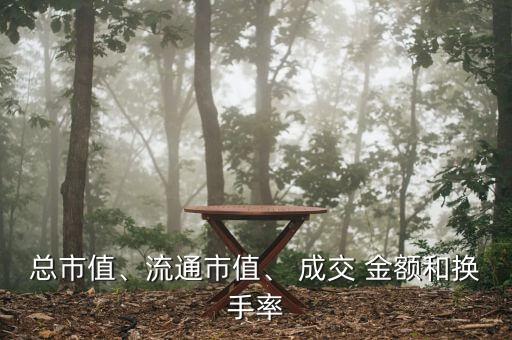 總市值、流通市值、 成交 金額和換手率