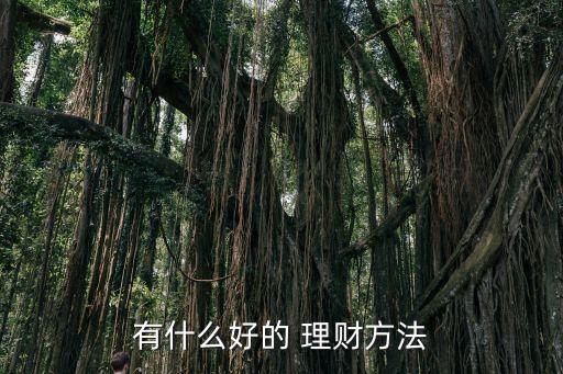 賺錢快的投資理財(cái),支付寶怎么投資理財(cái)賺錢