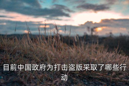 目前中國政府為打擊盜版采取了哪些行動(dòng)