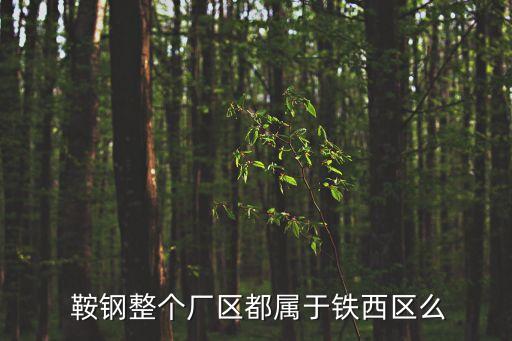  鞍鋼整個(gè)廠區(qū)都屬于鐵西區(qū)么