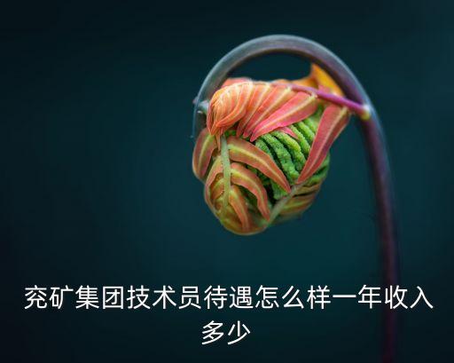  兗礦集團技術員待遇怎么樣一年收入多少