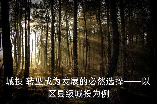 城投 轉(zhuǎn)型成為發(fā)展的必然選擇——以區(qū)縣級(jí)城投為例