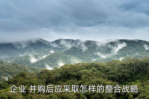 企業(yè) 并購后應采取怎樣的整合戰(zhàn)略