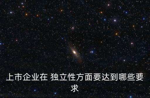 上市企業(yè)在 獨立性方面要達到哪些要求