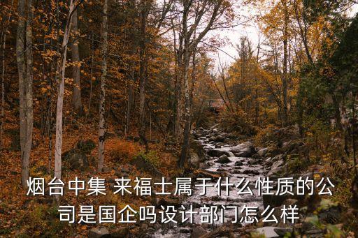  煙臺(tái)中集 來(lái)福士屬于什么性質(zhì)的公司是國(guó)企嗎設(shè)計(jì)部門怎么樣