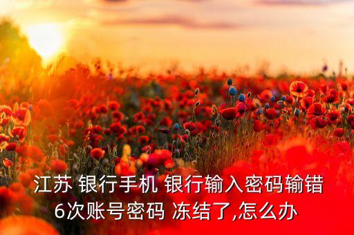  江蘇 銀行手機 銀行輸入密碼輸錯6次賬號密碼 凍結(jié)了,怎么辦
