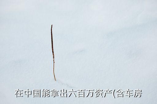在中國能拿出六百萬資產(chǎn)(含車房