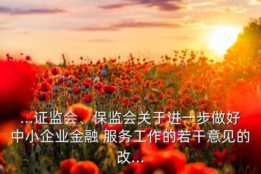 ...證監(jiān)會、保監(jiān)會關(guān)于進(jìn)一步做好中小企業(yè)金融 服務(wù)工作的若干意見的改...