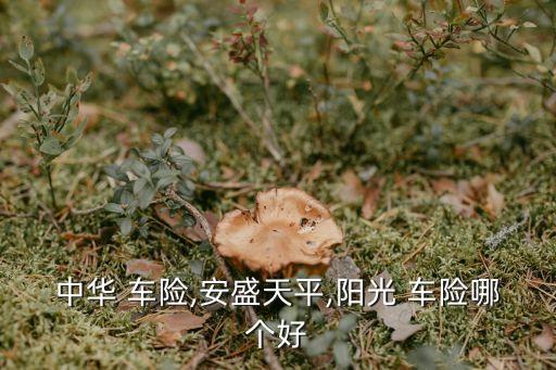 中華 車險(xiǎn),安盛天平,陽光 車險(xiǎn)哪個(gè)好
