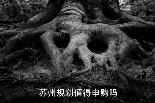 蘇州設(shè)計(jì)股票多少板,蘇州邁為股票最高的時候是多少