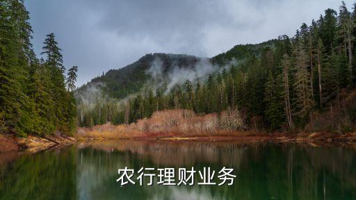 農(nóng)行理財(cái)業(yè)務(wù)