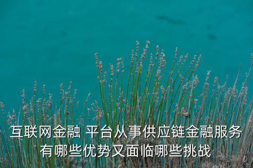 互聯(lián)網(wǎng)金融 平臺(tái)從事供應(yīng)鏈金融服務(wù)有哪些優(yōu)勢又面臨哪些挑戰(zhàn)