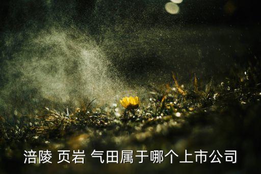 涪陵 頁巖 氣田屬于哪個上市公司