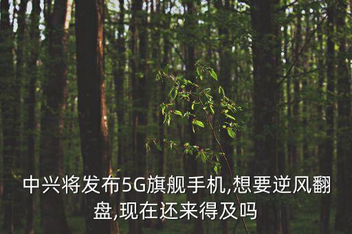 中興將發(fā)布5G旗艦手機,想要逆風翻盤,現(xiàn)在還來得及嗎