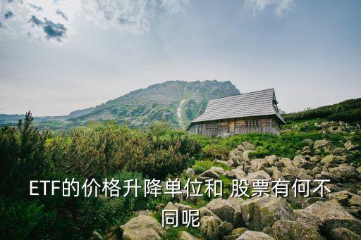 etf與股票的區(qū)別,場內etf和股票區(qū)別