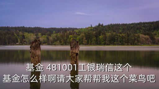  基金 481001工銀瑞信這個(gè) 基金怎么樣啊請大家?guī)蛶臀疫@個(gè)菜鳥吧