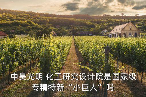  中昊光明 化工研究設(shè)計(jì)院是國家級專精特新“小巨人”嗎