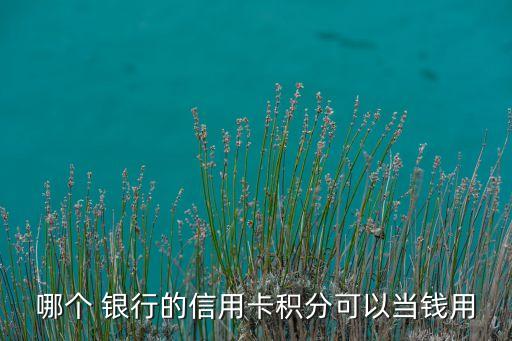 哪個(gè) 銀行的信用卡積分可以當(dāng)錢(qián)用