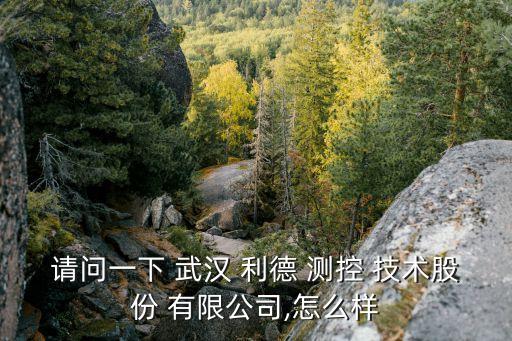 武漢利德測(cè)控技術(shù)有限公司