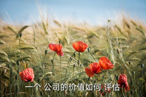 一個 公司的價值如何 評估