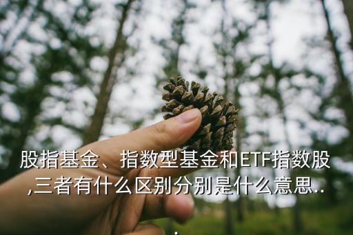 股指基金、指數(shù)型基金和ETF指數(shù)股,三者有什么區(qū)別分別是什么意思...