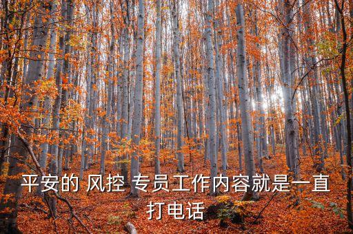 平安的 風(fēng)控 專員工作內(nèi)容就是一直打電話