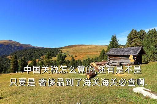...中國關稅怎么算的,還有是不是只要是 奢侈品到了海關海關必查啊...