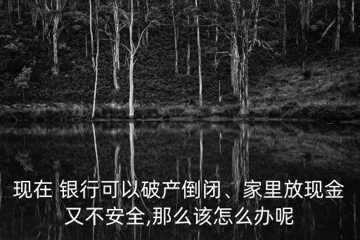 現(xiàn)在 銀行可以破產(chǎn)倒閉、家里放現(xiàn)金又不安全,那么該怎么辦呢