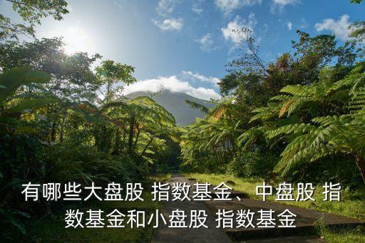 有哪些大盤股 指數(shù)基金、中盤股 指數(shù)基金和小盤股 指數(shù)基金