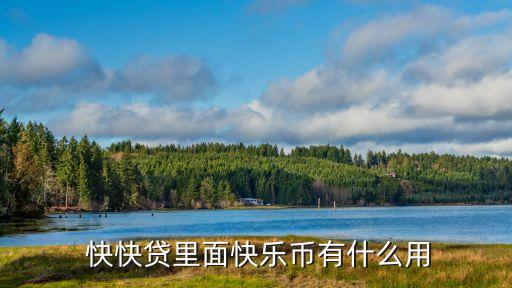 上?？炜熨J,快快貸最新消息