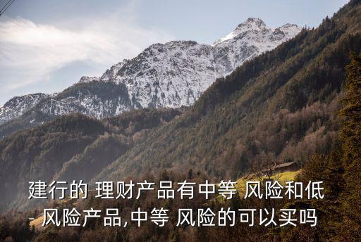 建行的 理財產品有中等 風險和低 風險產品,中等 風險的可以買嗎