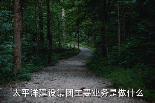 中國(guó)太平洋建設(shè)集團(tuán)公司,太平洋建設(shè)集團(tuán)公司簡(jiǎn)介嚴(yán)介和