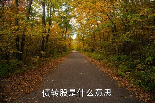 債轉股是什么意思