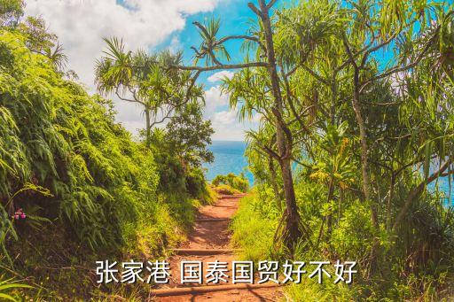 張家港 國泰國貿好不好