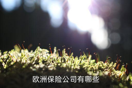 忠利金融誰(shuí)投資過(guò)